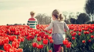Повече слънце и летни темпертури, так - там дъжд