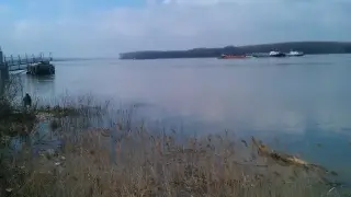 Здравното министерство нищи кризата с комарите по поречието на Дунав