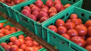 България почти загуби своя хранителен суверенитет