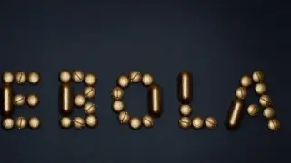 СЗО: 906 смъртни и 223 предполагаеми случая вследствие на ебола