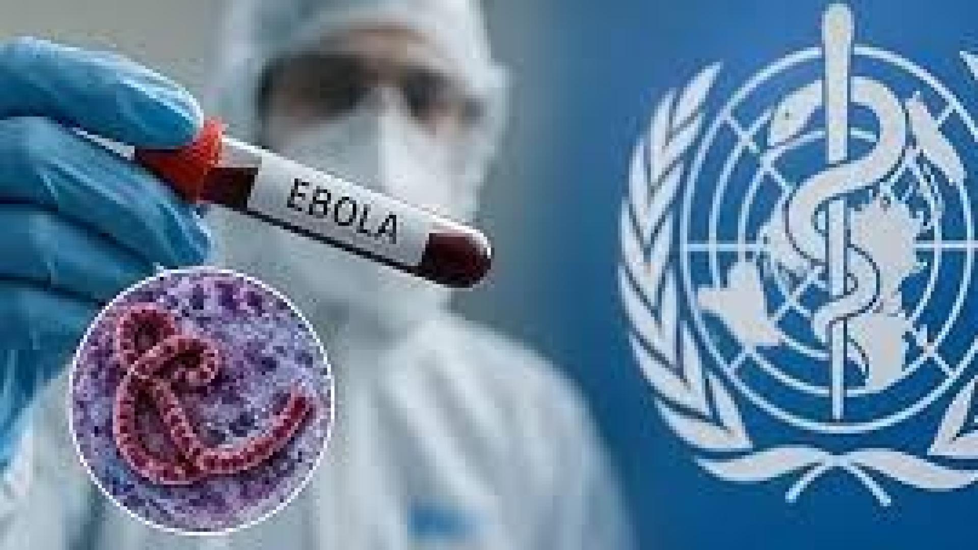 Петима излекувани от ебола, отчете СЗО