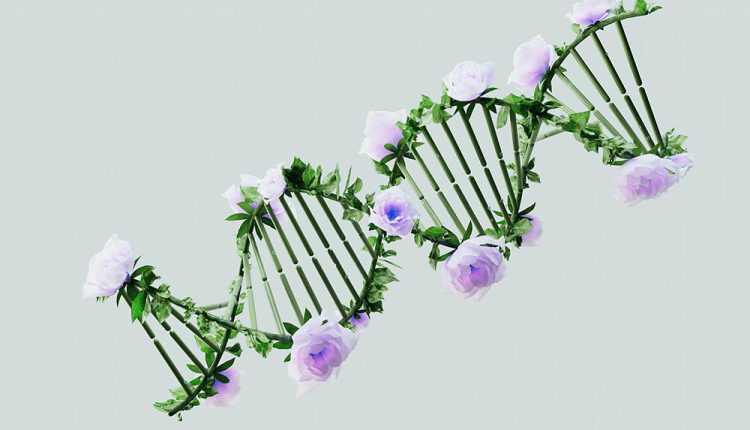 Силата на никотинамид рибозид